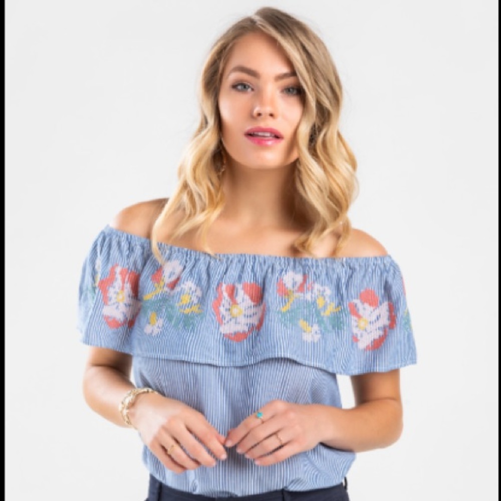Francesca’s Blue Rain blue pinstriped off the shoulder embroidered top